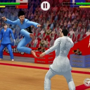 Karate Fighting mod mod