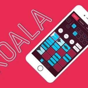 Koala Sampler interface