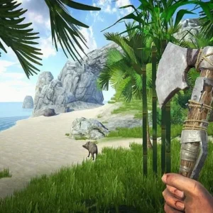 Last Pirate mod free