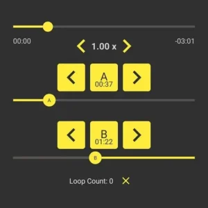 Loop Player mod