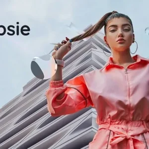 Loopsie in action