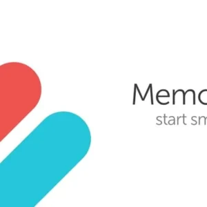 Memorigi Interface