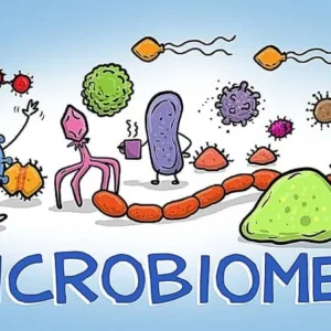 Microscopic view of bacteria in World of Microbes