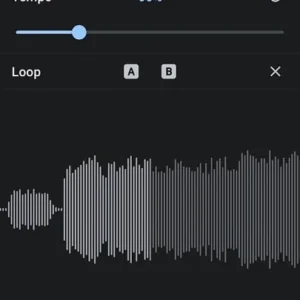 Music Speed Changer mod