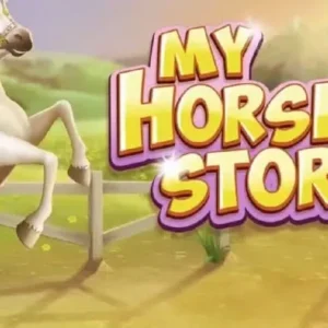 My Horse Stories
