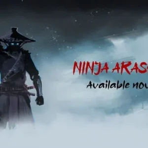 Ninja Arashi 2 Gameplay
