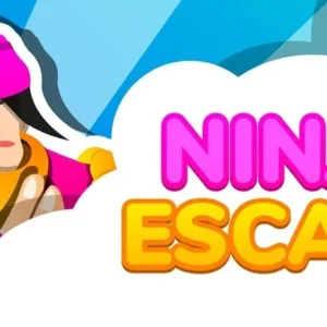 Ninja Escape Gameplay