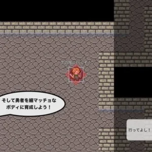 Overview of Rogue Memoirs Gameplay