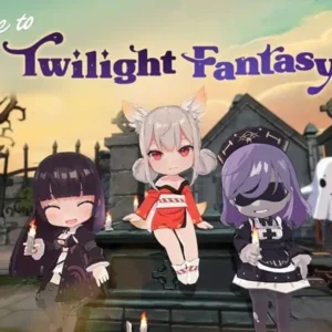 Overview of Twilight Fantasy gameplay.