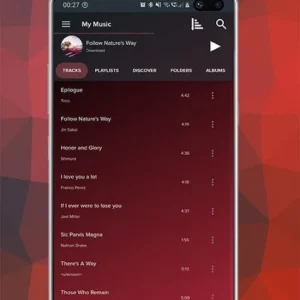 Pi Music Player mod