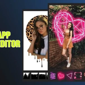 PicsApp interface overview