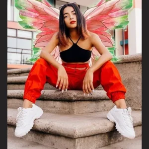 PicShot mod android free