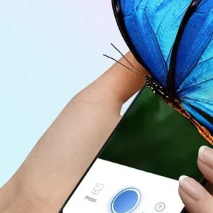 Picture Insect Bug Identifier mod