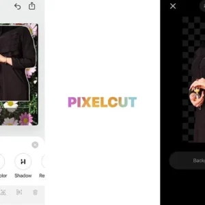 Pixelcut AI Photo Editor