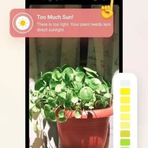 Plant Parent mod android