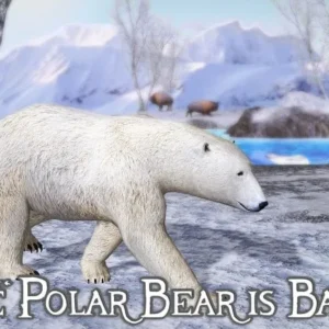 Polar Bear in snowy landscape