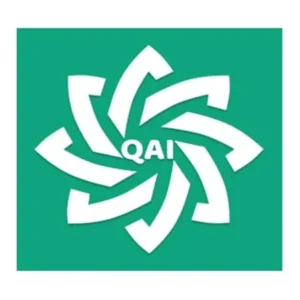 QAI Chat interface
