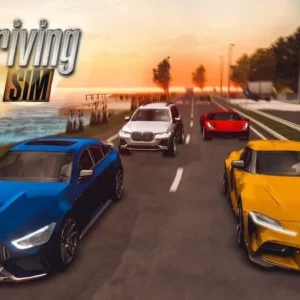 Real Driving Sim in action