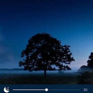 Relax Night mod apk