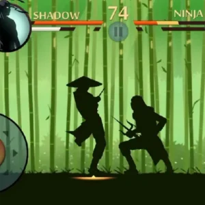 Shadow Fight 2 Gameplay