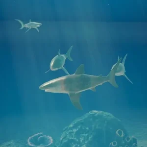 Shark Ocean mod