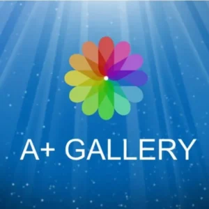 Sleek interface of A+ Gallery