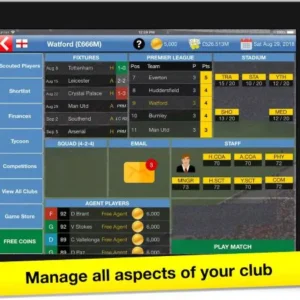 Soccer Tycoon Gameplay