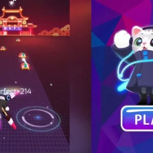 Sonic Cat gameplay