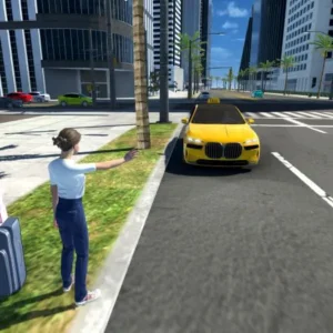 Taxi Driver City Driving SIM apk mod