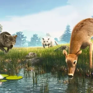 The Wolf Gameplay