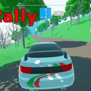 Thrilling race in N3Rally