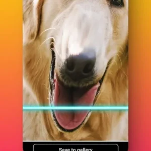 TIME WARP SCAN mod android free