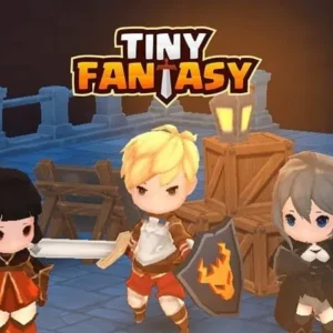 Tiny Fantasy Gameplay