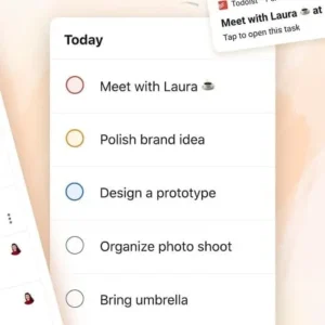 Todoist mod