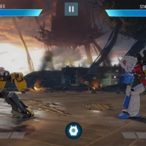 TRANSFORMERS FtF mod