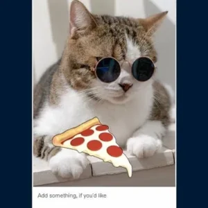 Tumblr mod