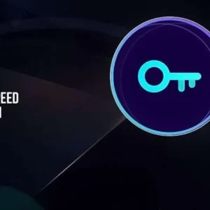 VPN Proxy Speed