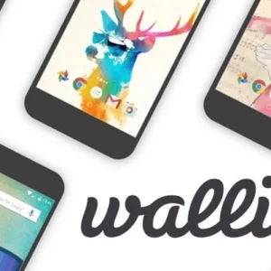 Walli Main Screen