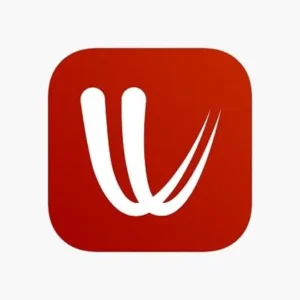 Windy.com app interface