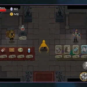 Wizard of Legend Gameplay