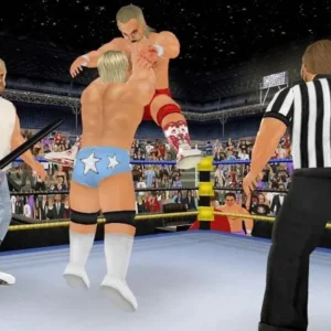 Wrestling Empire gameplay